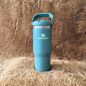 STANLEY The IceFlow™ Flip Straw Tumbler | 30 OZ